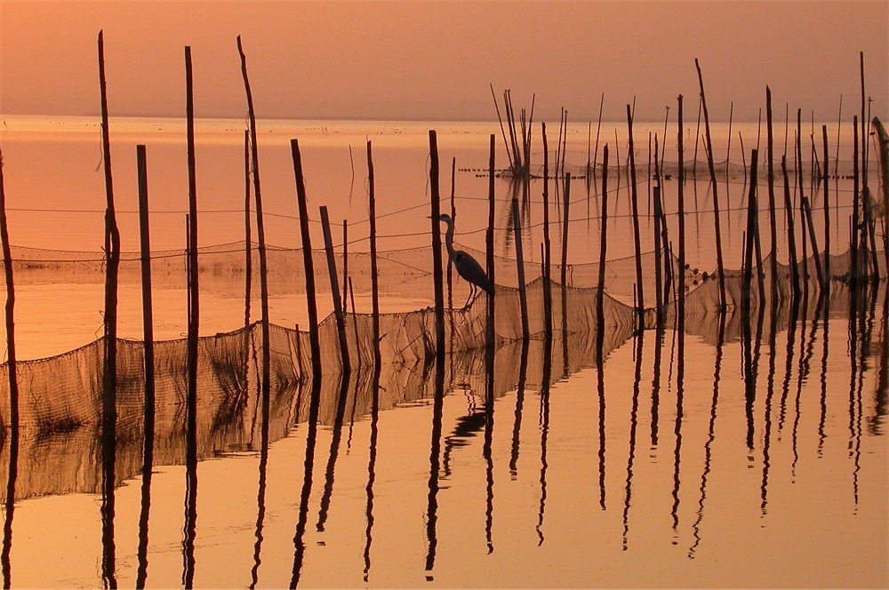 La Albufera